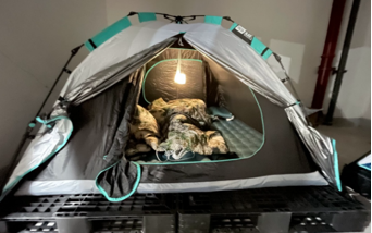 金沙990线路检测