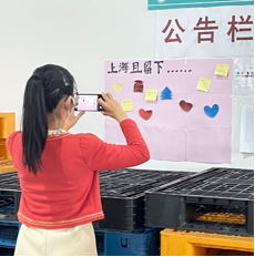 金沙990线路检测