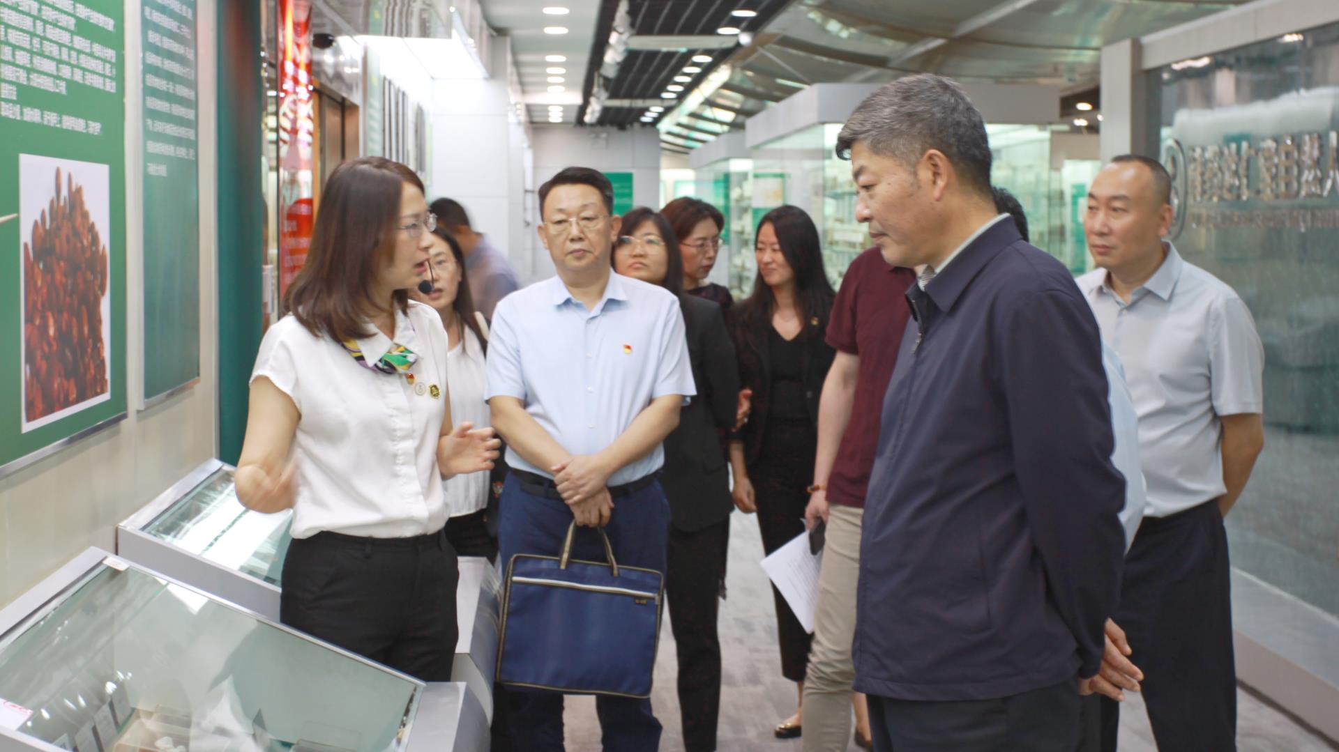 金沙990线路检测