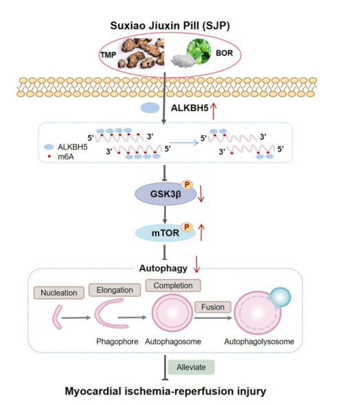 金沙990线路检测