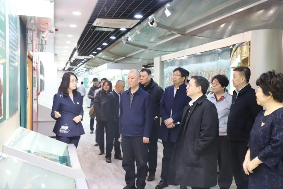 金沙990线路检测