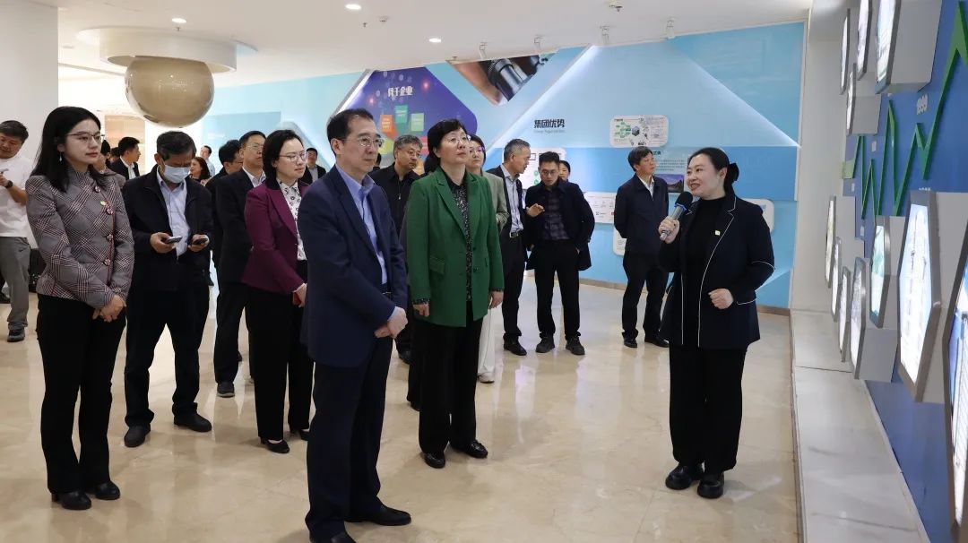 金沙990线路检测