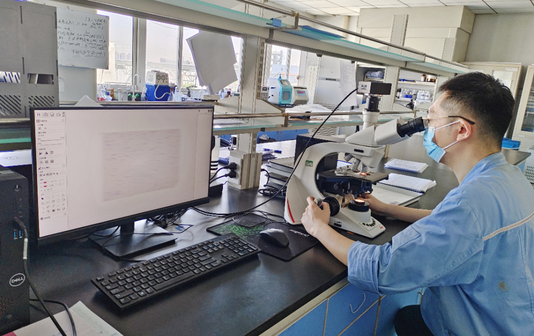 金沙990线路检测