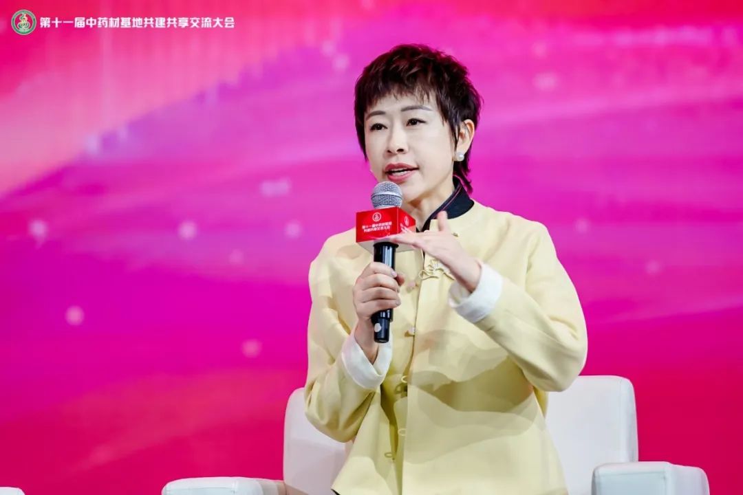 金沙990线路检测