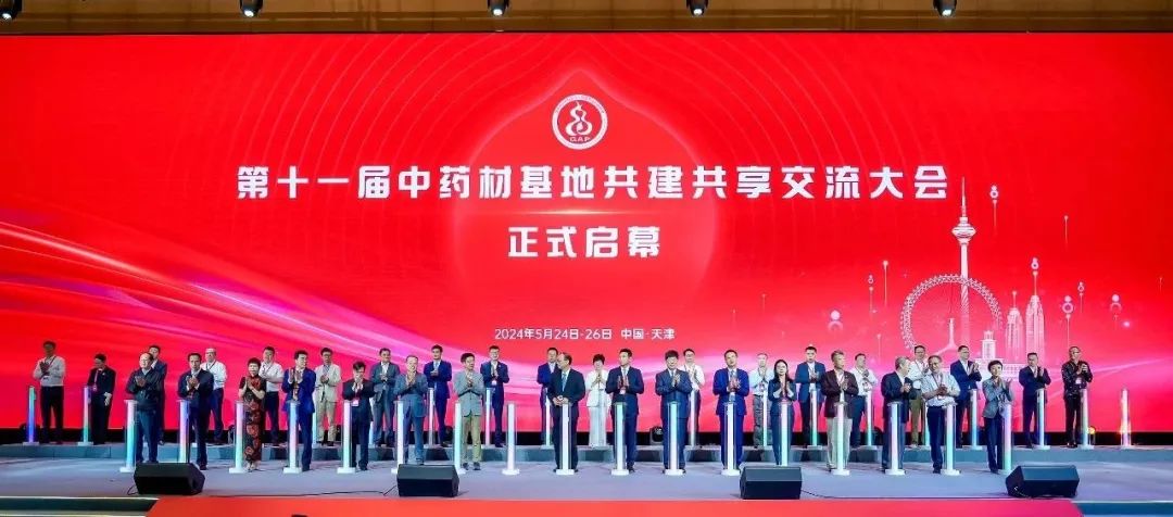 金沙990线路检测