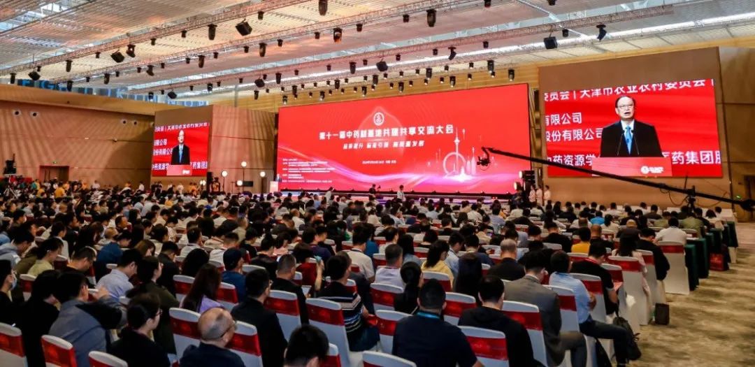 金沙990线路检测