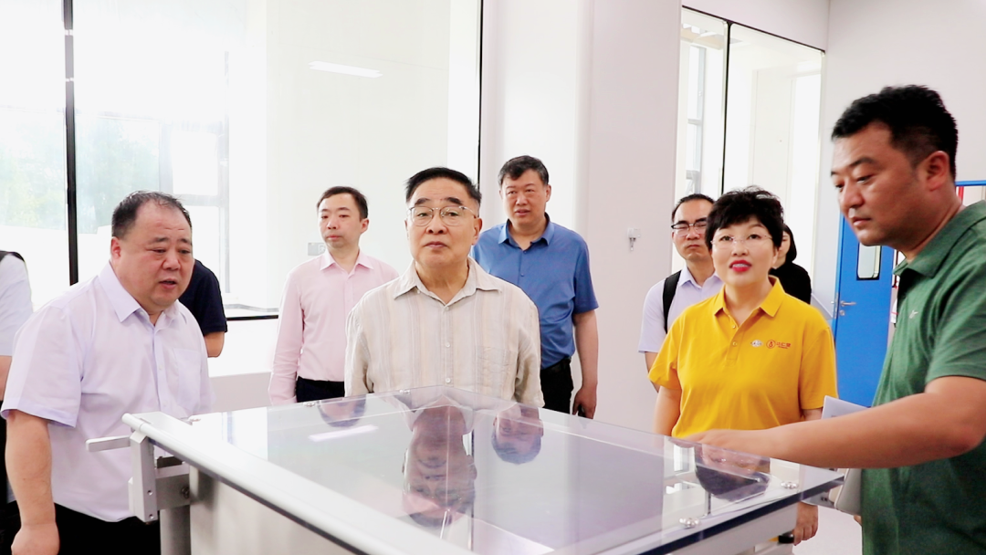 金沙990线路检测