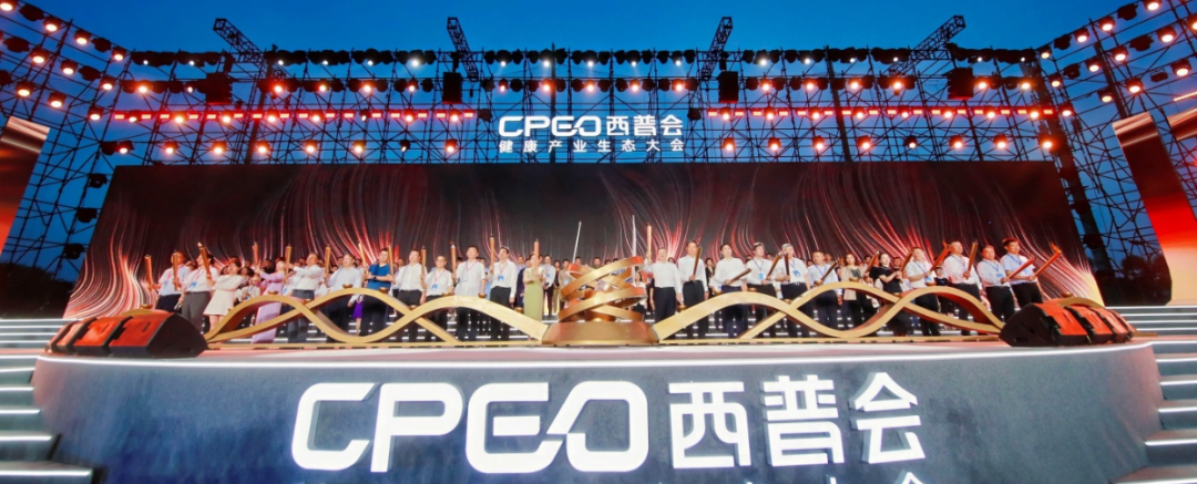 金沙990线路检测