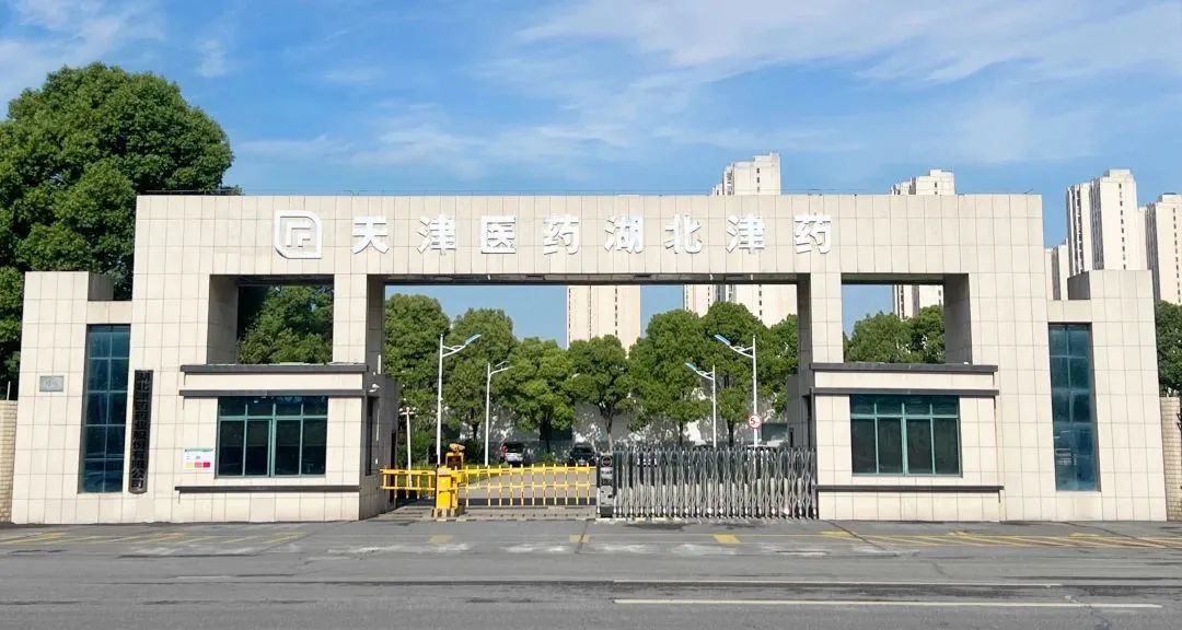 金沙990线路检测