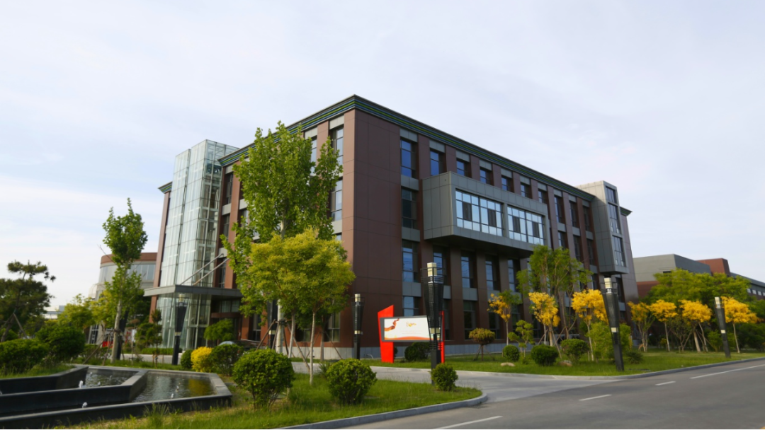 金沙990线路检测