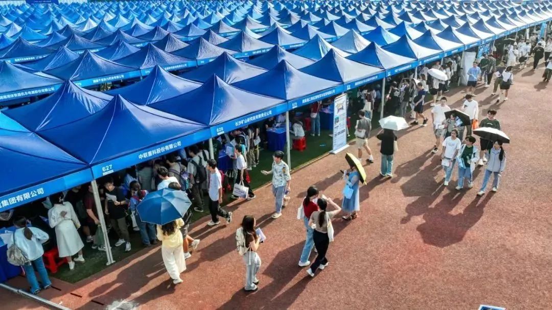 金沙990线路检测