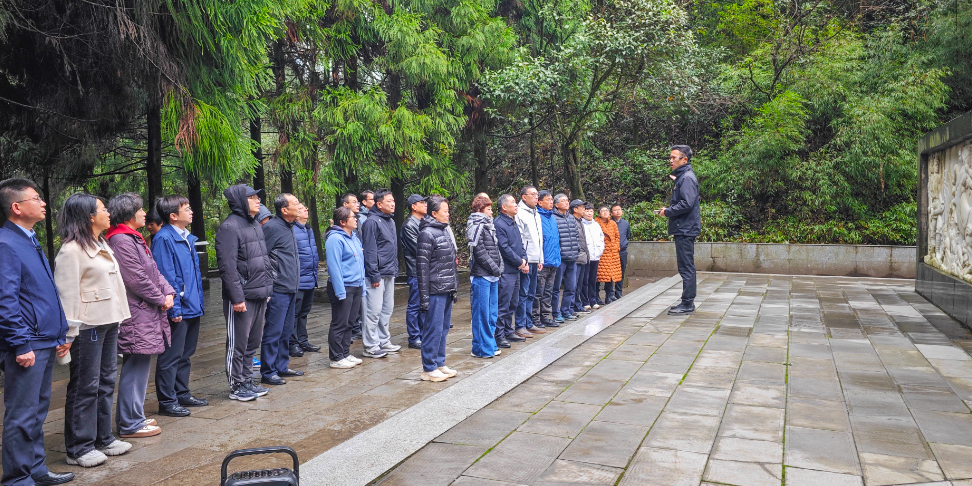 金沙990线路检测