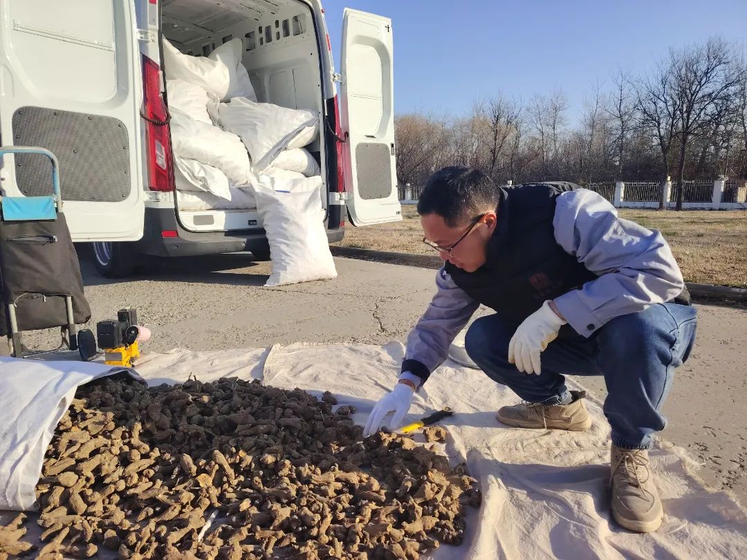 金沙990线路检测