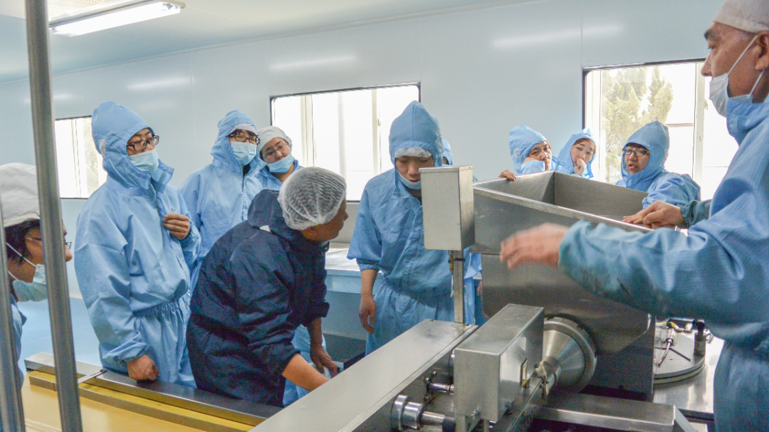 金沙990线路检测