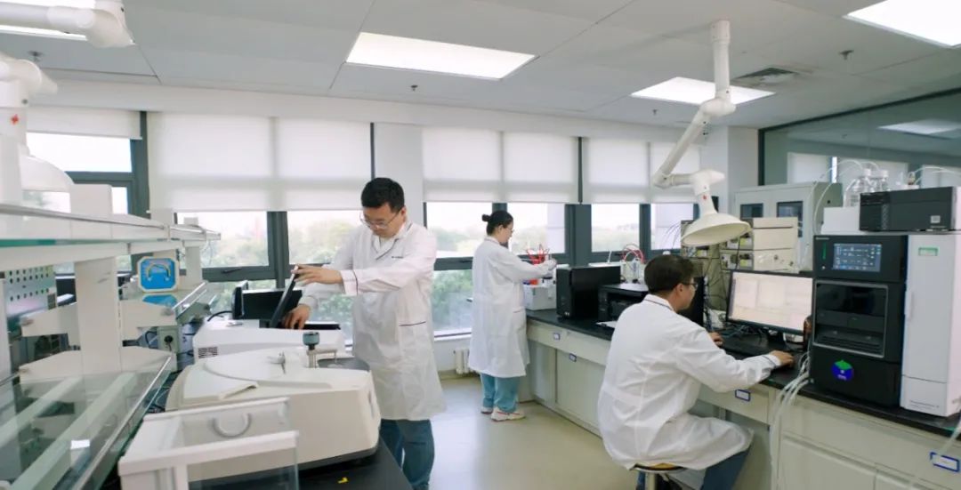 金沙990线路检测