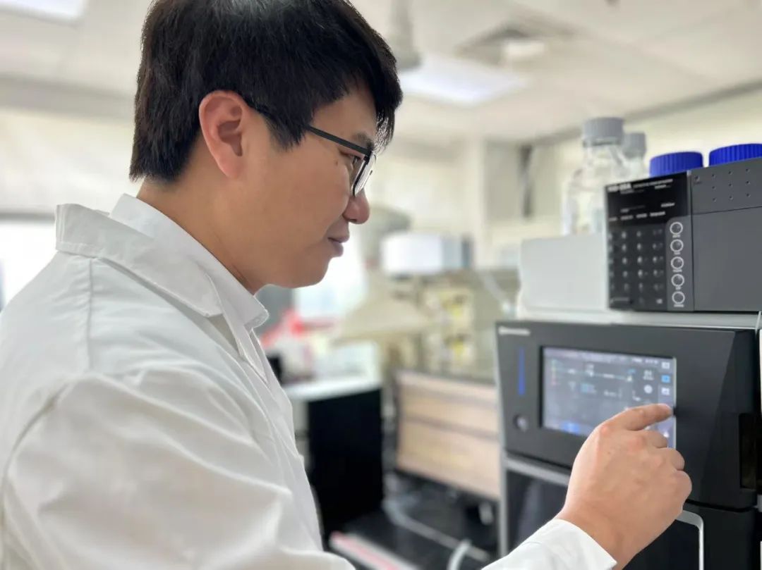 金沙990线路检测