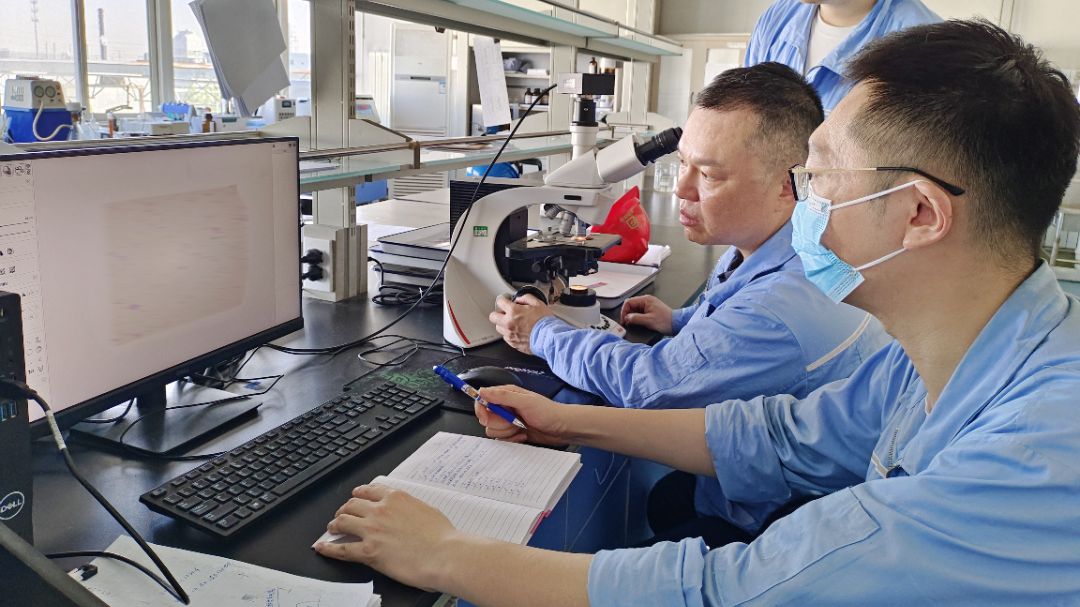 金沙990线路检测