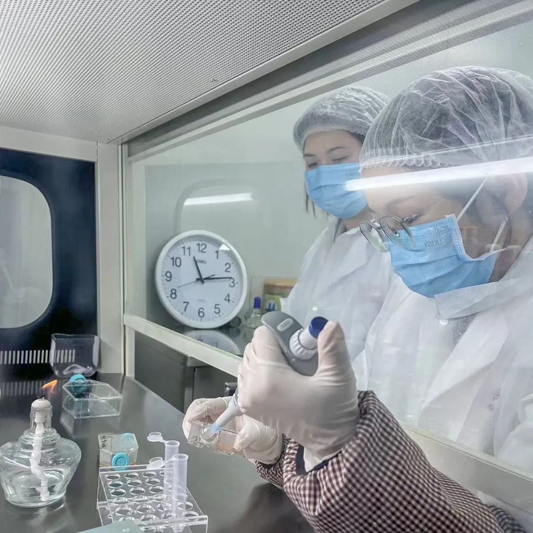 金沙990线路检测