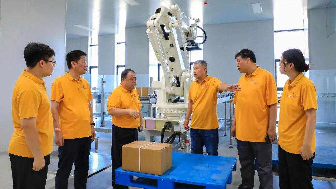 金沙990线路检测