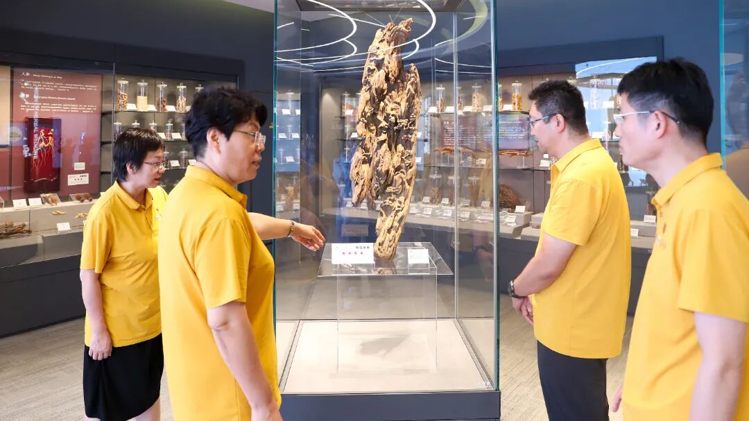 金沙990线路检测