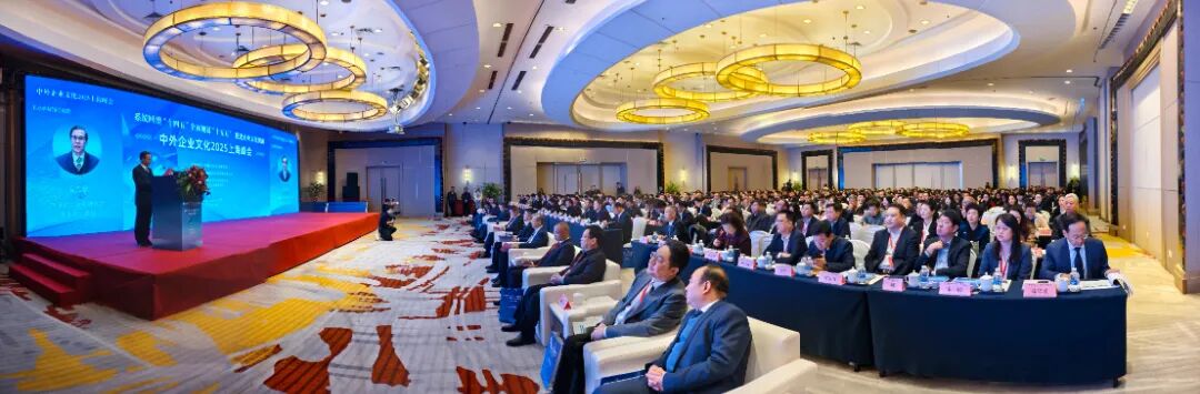 金沙990线路检测